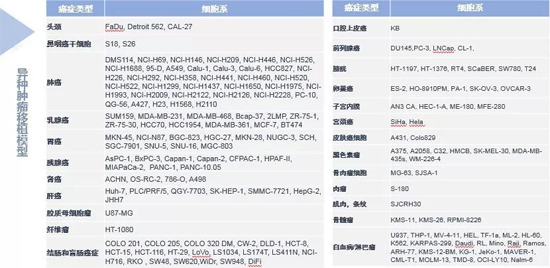 美迪西药效学动物模型