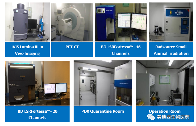 美迪西药理部拥有IVIS Lumina III, PET-CT, BD LSRFortessa-16, Flow Cytometry等仪器,提供符合申报,支持临床试验的药效评价服务。