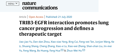 Nature|非小细胞肺癌治疗新方案:靶向降解EGFR