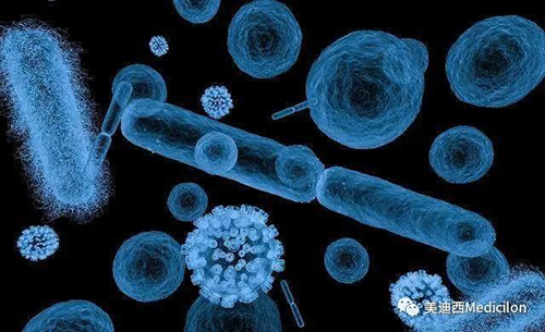 20分钟，大多数细菌都可以繁衍一代 美迪西生物医药