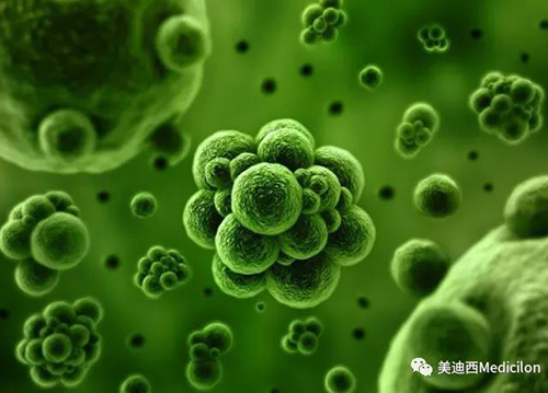 1分钟，全中国就有7.5人被确诊为患癌 美迪西生物医药