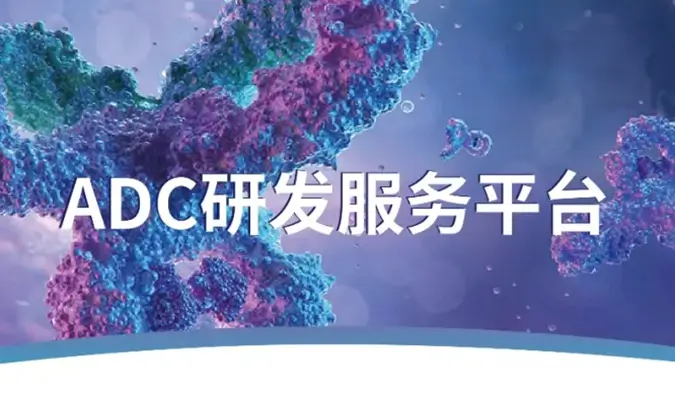 一文读懂：抗体偶联药物（ADC）