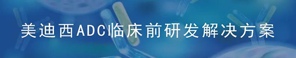 美迪西ADC临床前研究解决方案.png 美迪西ADC临床前研究解决方案.png