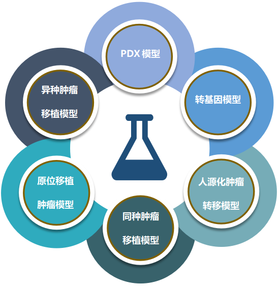 美迪西致力于为客户提供成熟的评估ADC体内药效的肿瘤模型.png 美迪西致力于为客户提供成熟的评估ADC体内药效的肿瘤模型.png