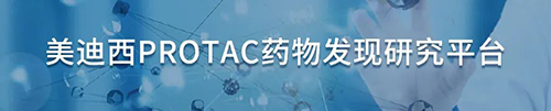 美迪西PROTAC药物发现研究平台.png 美迪西PROTAC药物发现研究平台.png
