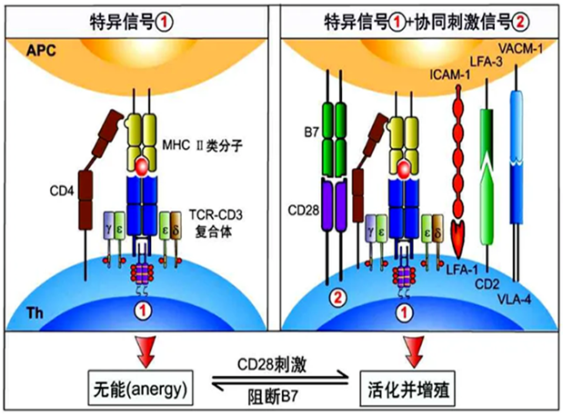 CC312组成概览.png CC312组成概览.png