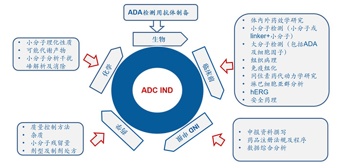 ADC药物研发历程.jpg ADC药物研发历程.jpg