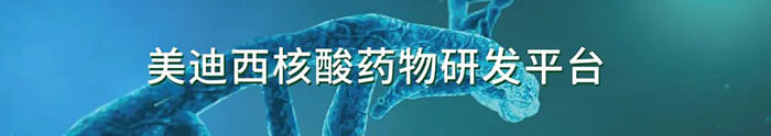 美迪西生物医药核酸药物研发平台.jpg 美迪西生物医药核酸药物研发平台.jpg