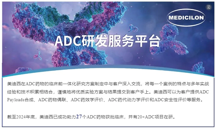 美迪西ADC药物研发服务平台.webp