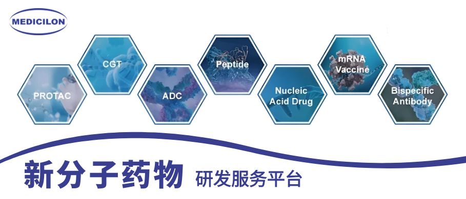美迪西新分子药物研发服务平台