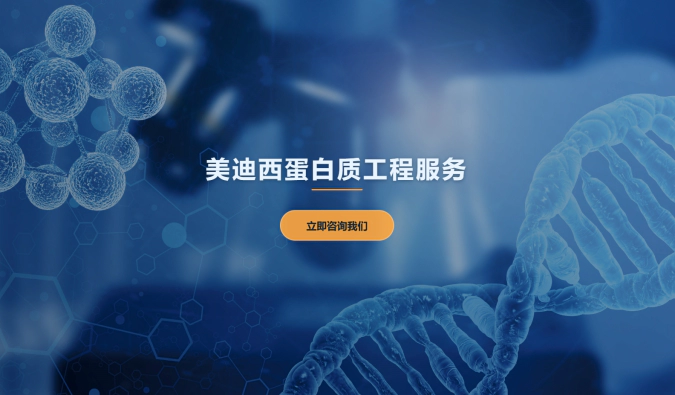 美迪西蛋白质工程服务
