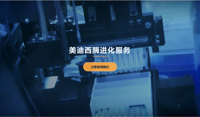 美迪西酶进化服务