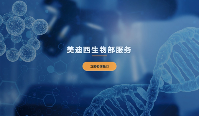 美迪西生物部，助力药物研发新突破