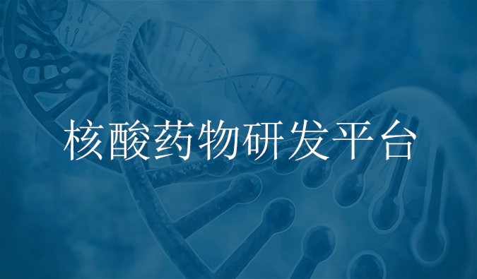 美迪西核酸药物研发服务平台.webp