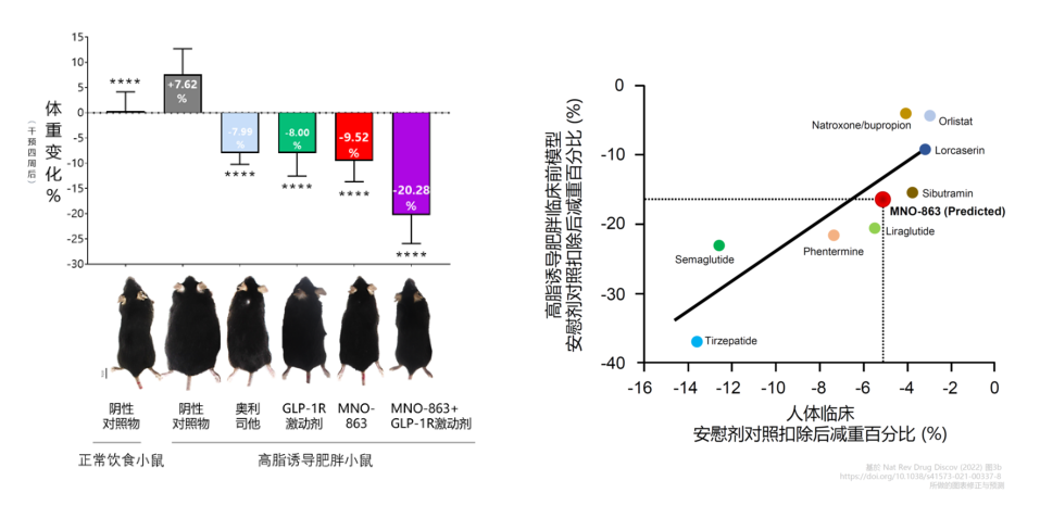 国内首个！4周降低近10%体重！美迪西助力慕恩生物MNO-863活菌生物药获批临床